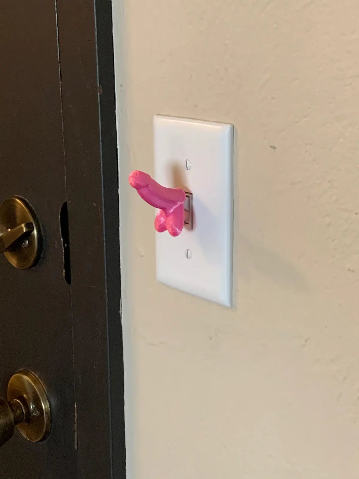 Penis Light Switch