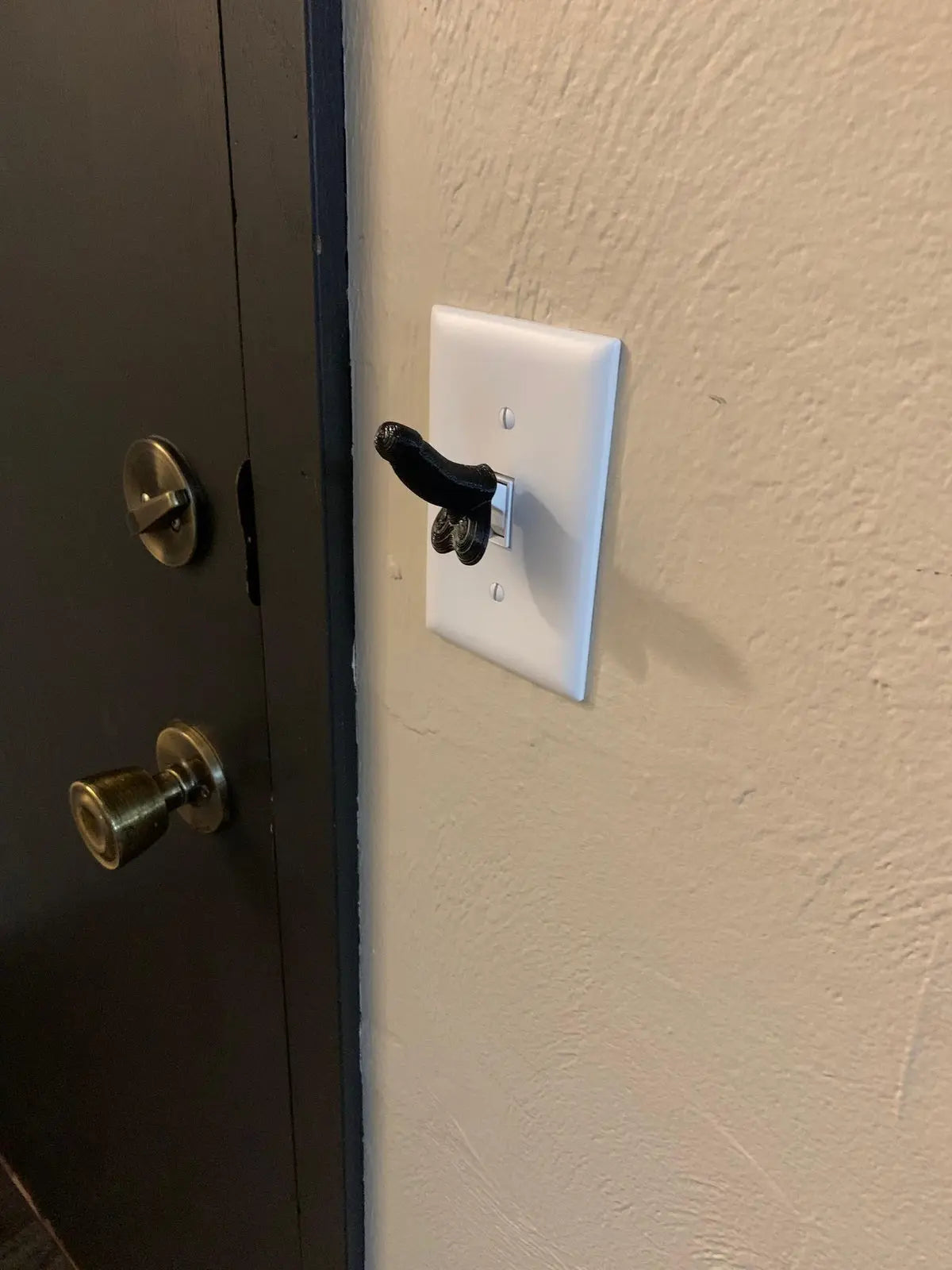 Penis Light Switch