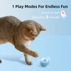 Smart Electric Cat Ball – Automatic Rolling, Interactive Toy for Indoor Play & Training